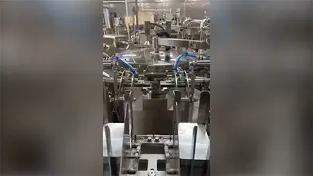 Двухпоточная роторная упаковочная машина